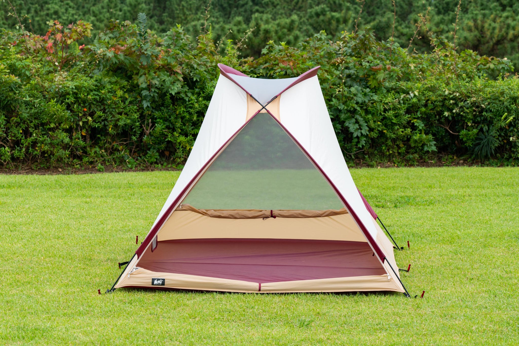 THE STARGAZER – MOSS®TENTS ONLINE