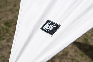 MOSS TENTS PENTAWING LARGE 設営風景